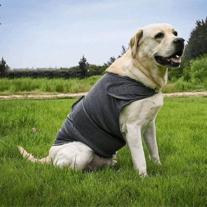 Woof Relief™ Calm Coat